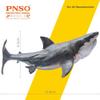 Модель доисторического животного PNSO: Мегалодон Паттон (Большая белая акула) 6,2-дюймовая игрушка Древний морской монстр