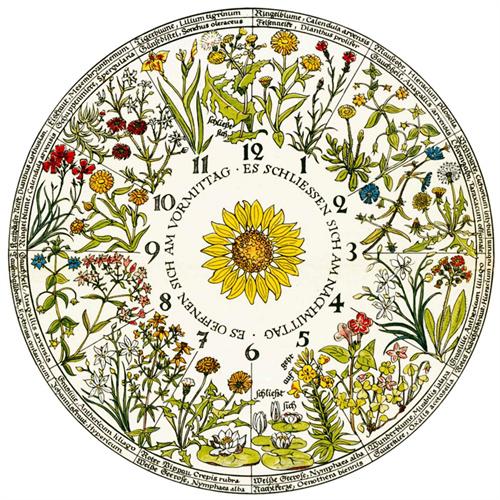 Creative Bohemia Pattern Plates Ceramics Wall Hanging Decorative Background Plate Nordic Style