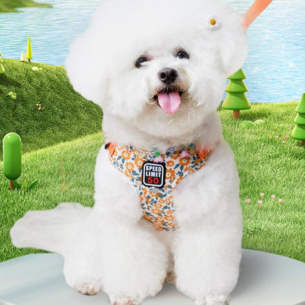 Сумка для владельца, одежда для собак, комплект нагрудных ремней, бронза