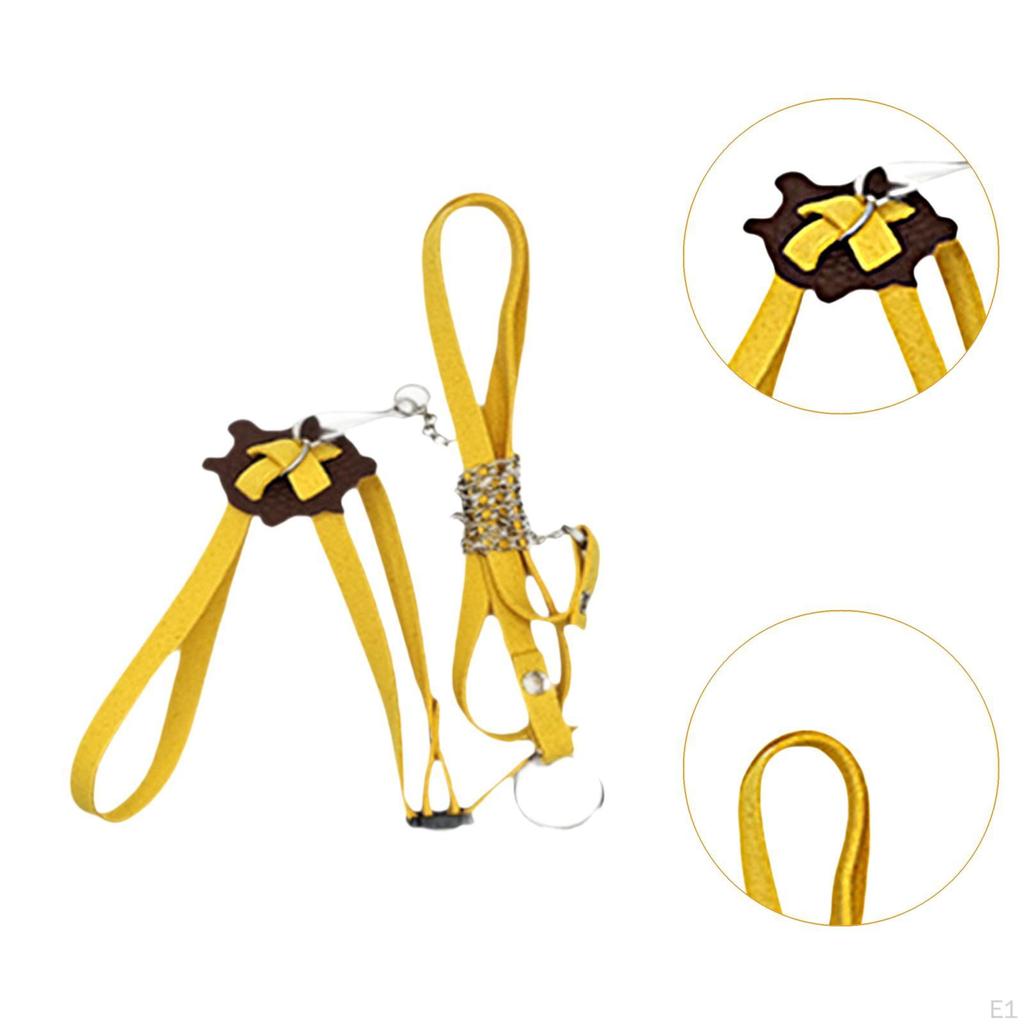 Reptile Harness Leash Pet Traction Belt Adjustable Accessories Small Animal Rope for