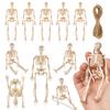 10 Pcs Mini Skeleton Figurine Decoration 6" Posable Human Bone Statue Plastic Skull Prop for Halloween Home Haunted House Party Favors