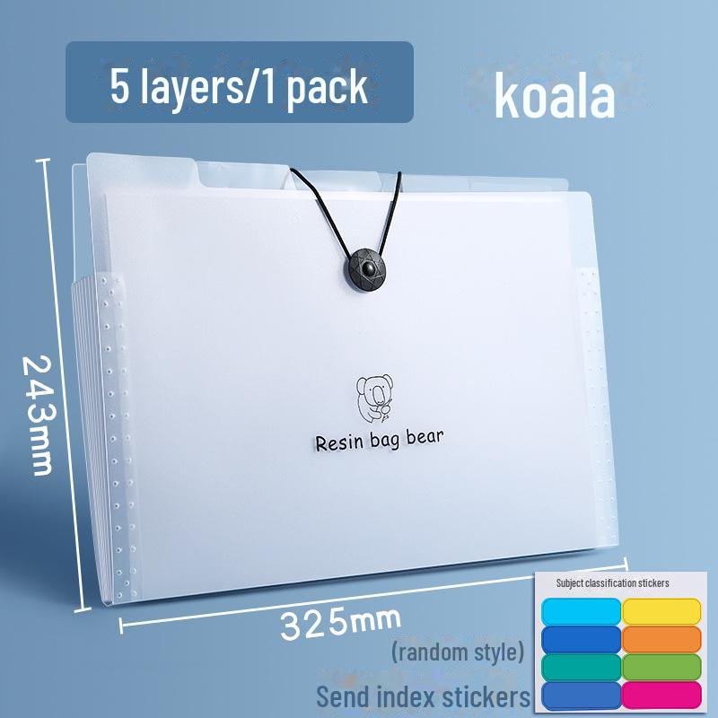 Папка-гармошка большого размера формата А4 для студентов с 5–12 отделениями для документов и файлов.