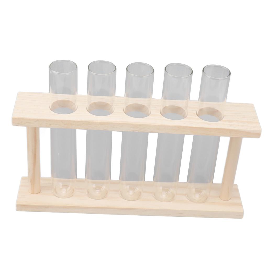 5 пробирок террариум для растений прозрачный наблюдение за ростом состояние террариум для растений с деревянной подставкой