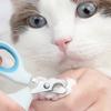 Специальные маленькие когтерезы для кошек, универсальные когтерезы для мелких животных, принадлежности против царапин, когтерезы для котят