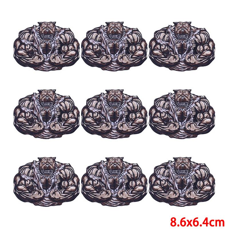 10 шт./лот, оптовая продажа, вышивка, железные нашивки для одежды, нашивки для одежды, куртки, декор, аппликация, принадлежности для шитья