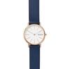Skagen SKW2838 Watch