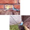 Cute Small Parrot Bird Simulation Model House Office Desk Decoration Ornaments