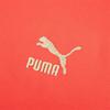 Puma Толстовка с капюшоном с длинным рукавом и логотипом Letter, повседневная, женская, красная 627269-11