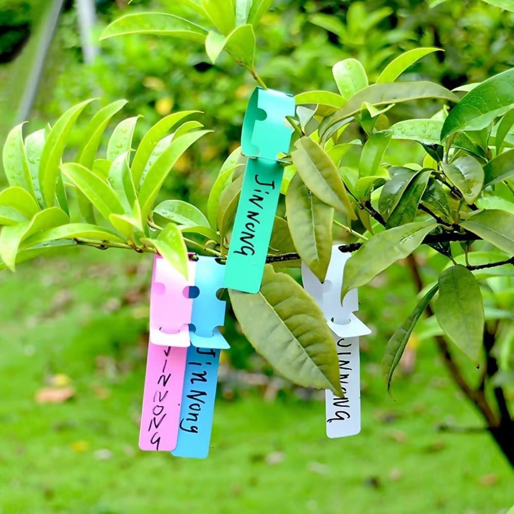 100pcs Reusable Garden Plant Tag Plastic Vegetables Labels New Ring Buckle Sign  Markers Tool