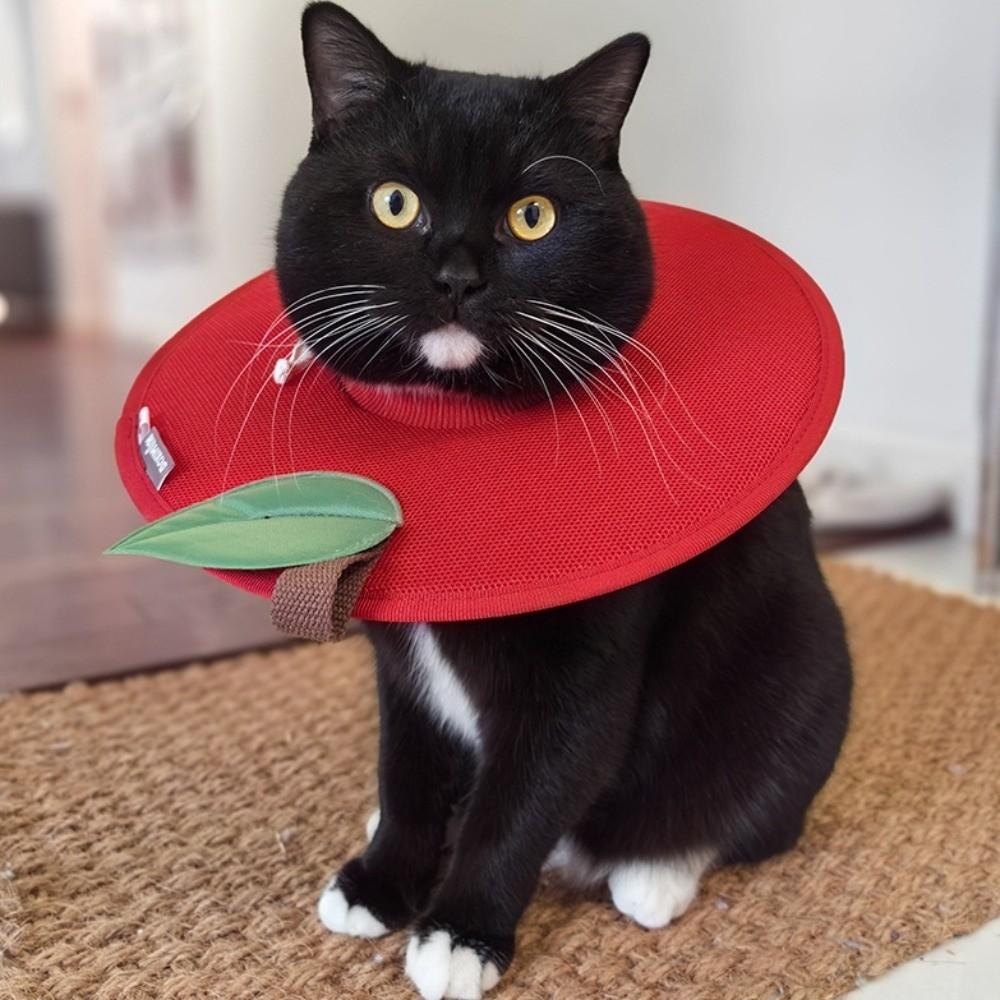 Soft Fruit Shape Kitty Recovery Collar Anti-biting Dog Protective Neck Cone  Stop Licking