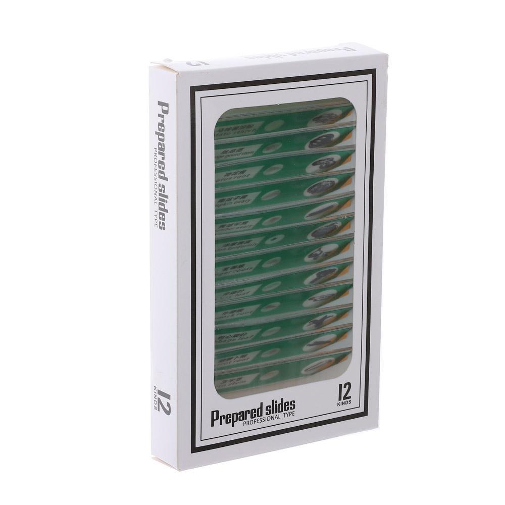 Образцы Микроскоп Образцы Готовые Слайды Пластиковые Слайды для Микроскопа Отличный Подарок Дети