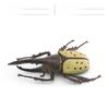 Insect Animal Model Pvc Collection For Educational Display And Collection Enthusiasts