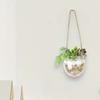Glass Hydroponic Hanging Vase Transparent Flower Pot Flower Arrangement Bottle  Balcony