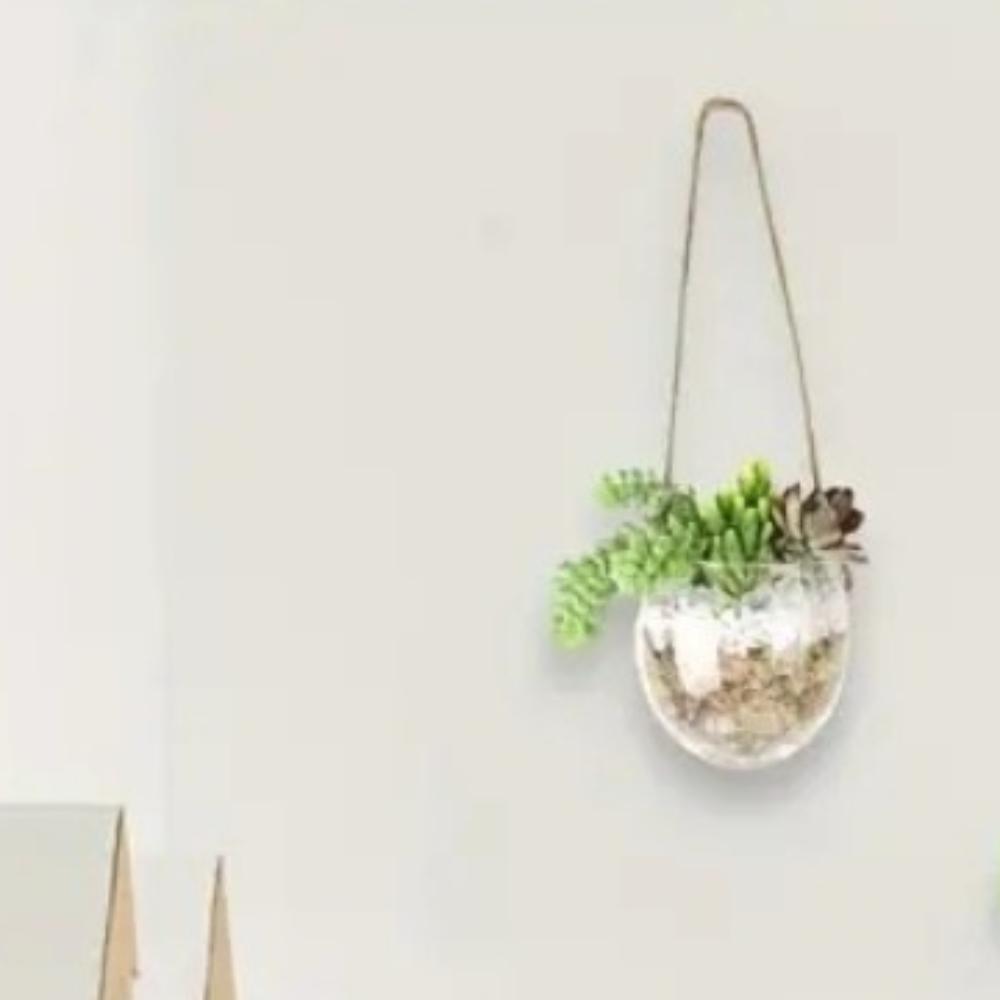Exquisite Wall Mounted Vase Transparent Flower Pot Durable Hydroponic Hanging Vase Living Room