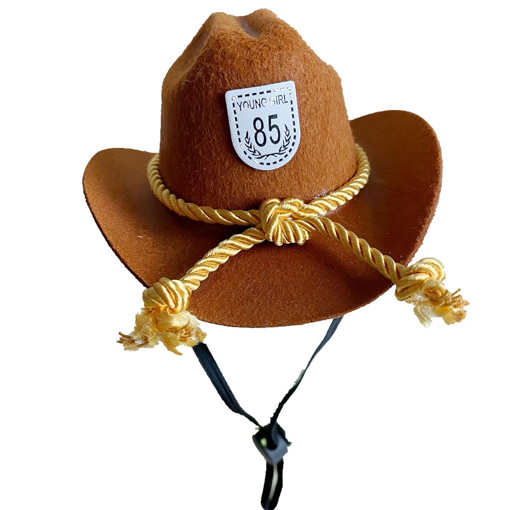 Fashion Cowboy Hat for Cats Dogs Festival Party Pet Cowboy Cap Puppy Costume Lovely Tiny Top Hat Headgear for Teddydogs
