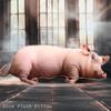 40cm Size Animal Body Pillow Plush Material Pig Keychain Portable Bag Decoration  Home Decor