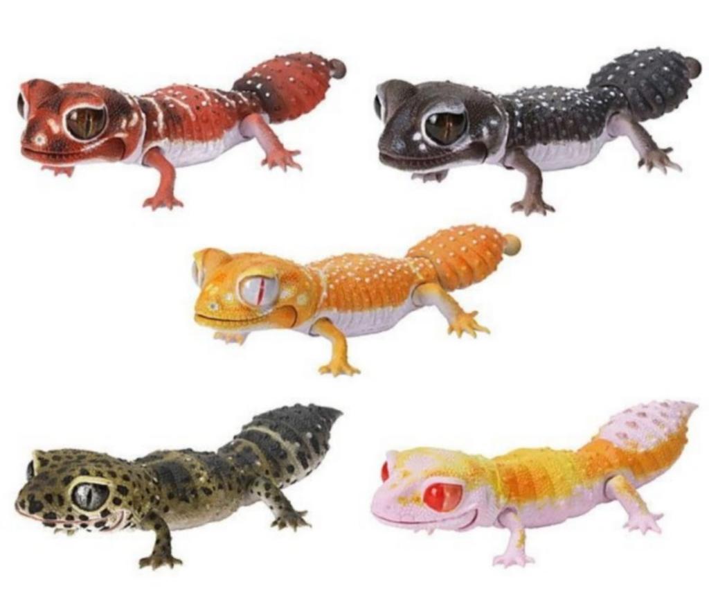 Иллюстрированная энциклопедия существ Repti Namehadatamao Gecko и Leopard Gecko x All 5 Types Set Full Comp Gacha Gacha Capsule Toy