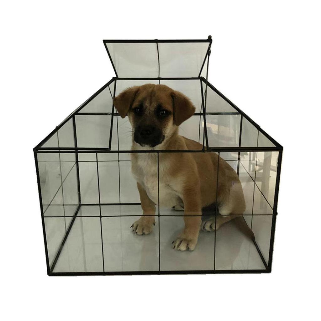 Европейская стеклянная оранжерея Кашпо для суккулентов: Прозрачный Экологичный Горшок для Микроландшафта для Домашнего Декора и Украшений из Зеленых Растений.