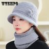 Hat Women's Autumn and Winter New Models In The Elderly Thermal Hat Knitted Wool Fur Hat Plush Basin Hat