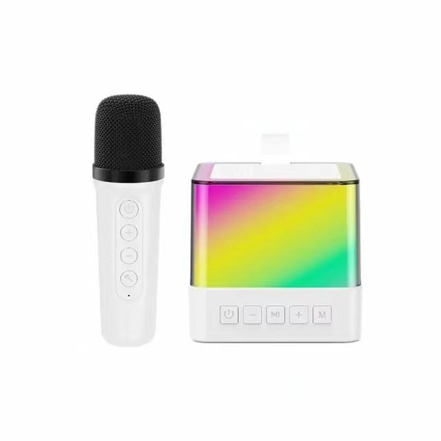 Караоке Беспроводная Портативная Bluetooth 5.3 Колонка с Микрофоном RGB Портативный Музыкальный Плеер Караоке-машина для Ребенка Дом Подарок