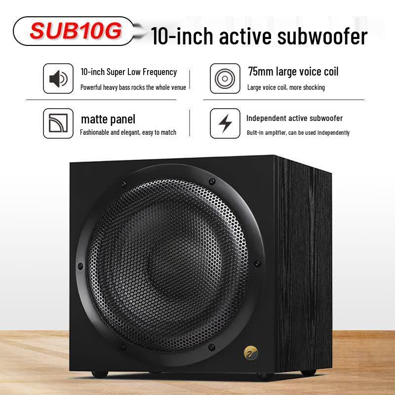 HiVi DS12 12-inch 2.1 Channel Home KTV Audio System (CN version)