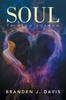Книга Soul : Tainted Sorrow
