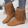 Shoes Female Mid-calf Women's Boots Round Toe Modern Boots Women Rivet Fringe Med Heel Plus Size Shoes Women Zapatos