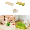 Cat Grass Cultivation Kit New Planting Box Hydroponic Box Wheat Potato Cultivation Tray Basin Soilless Multipurpose Pot