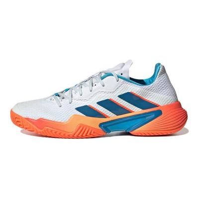 Мужские кроссовки Barricade White Blue Tint Blue-Rush Cloud-White GW2963