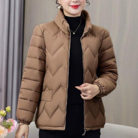 Пальто с хлопковой подкладкой, воротником-стойкой, длинными рукавами, застежкой-молнией, теплая зимняя куртка с карманами, однотонная утолщенная стеганая верхняя одежда