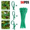 50Pcs Adjustable Plastic Plant Cable Ties Reusable Garden Cable Ties For Garden Tree Climbing Support Vine Tomato Stem Clip