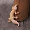 Animal Figurines Simulation Lizard Figures Cognition Toys Gecko Figurine Toy  Party Gift