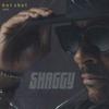 CD SHAGGY - Hot Shot 2020 602507171704 Polydor 2020 Europe Reggae, Ska & Dub