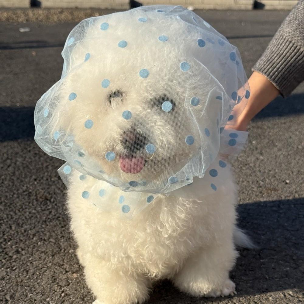 Mesh Pet Anti-Mosquito Headgear Breathable Adjustable Dog Decorative Headgear Love/Wave Point Pattern Pet Facial Protection