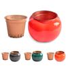 1 Set Flower Pot Dual Layer Shatterproof Plastic Decorative Plant Flower Pot with Water Container for Home