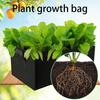 5шт прямоугольный толстый фетровый мешок для выращивания томатов и овощей садовый горшок-контейнер