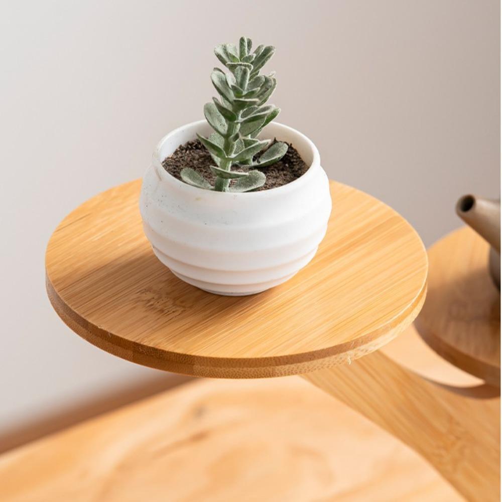 Tree Branch Shape Succulents Bonsai Organizer Bamboo Shelf Desktop Plants Stand for Window