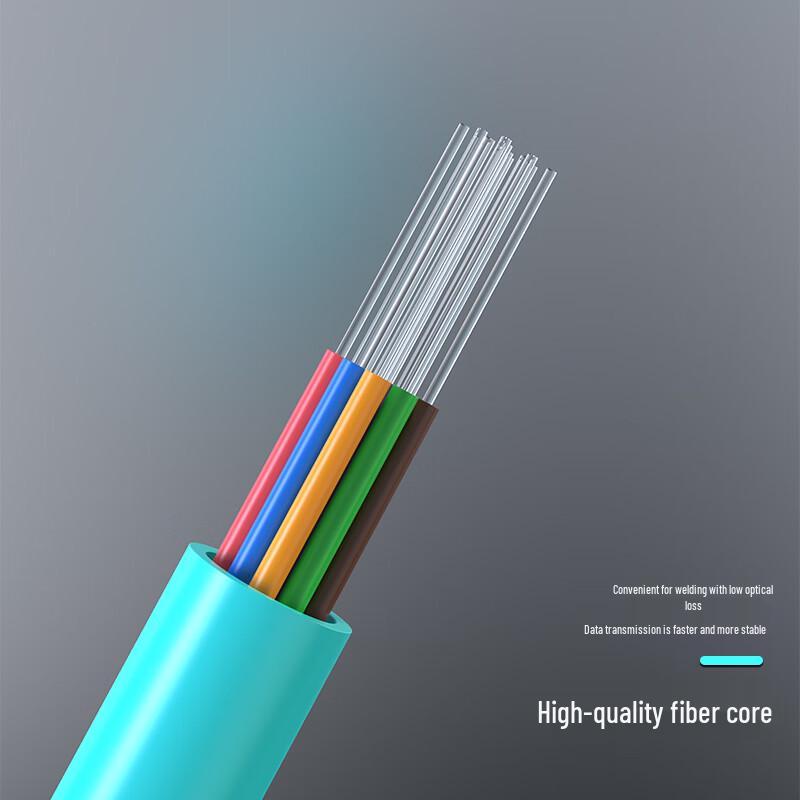 Dasheng Light MPO-MPO 8-Core OM3 Multimode Fiber Patch Cable