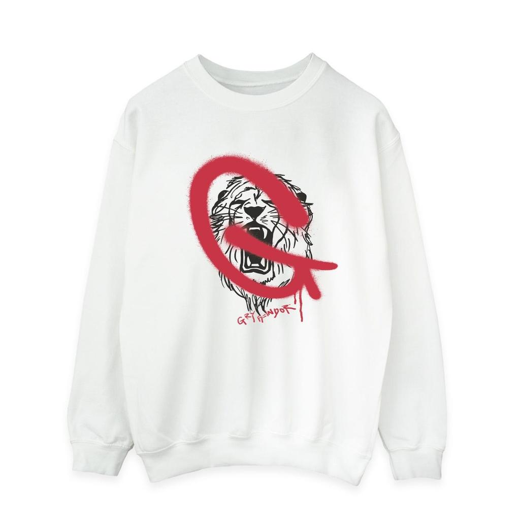 Harry Potter Mens Gryffindor Pop Spray Sweatshirt