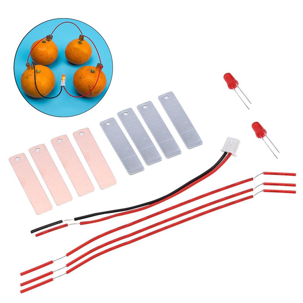 Children DIY Homemade Fruit Battery Power Educational Electricity Generating Experiment