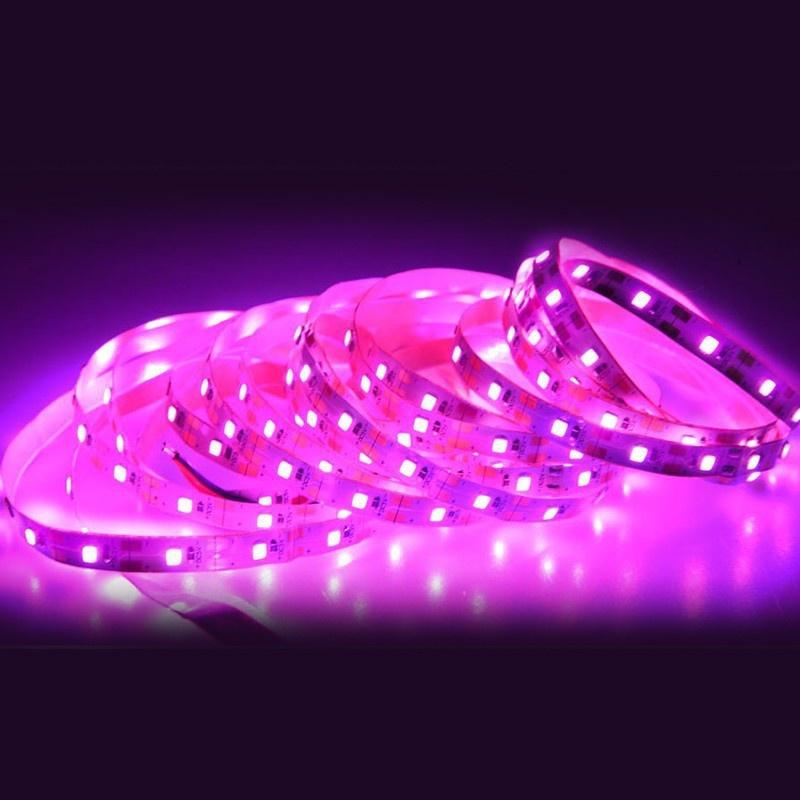5M 2835 SMD LED Grow Light Full Spectrum USB Grow Light Strip Phyto Lamps Plant Growth Light for Plants Greenhouse Hydroponic Growing