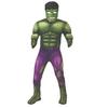 Childrens/Kids Deluxe Hulk Costume