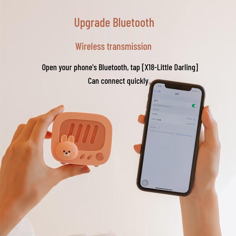 Pet Love Mini Retro Turntable Bluetooth Speaker