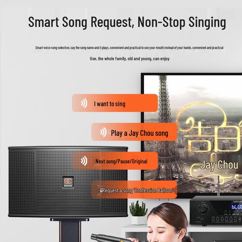 Songchuan SK101 Home Karaoke System (CN version)