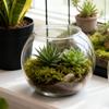 Прозрачный Круглый Аквариум для Декоративных Рыбок Портативный Золотых Рыбок Маленький Аквариумный Шар для Рыбок Домашнее Животное Пластиковый Легкий Настольный Аквариумный Шар Домашний Декор