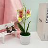 Faux Flowers Three Butterfly Orchid Green Plant For Home Decoration Office