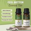 Ananta Feel Better Essential Oil Combo – Lemon & Cypress Aroma Oils (10 ml × 2)