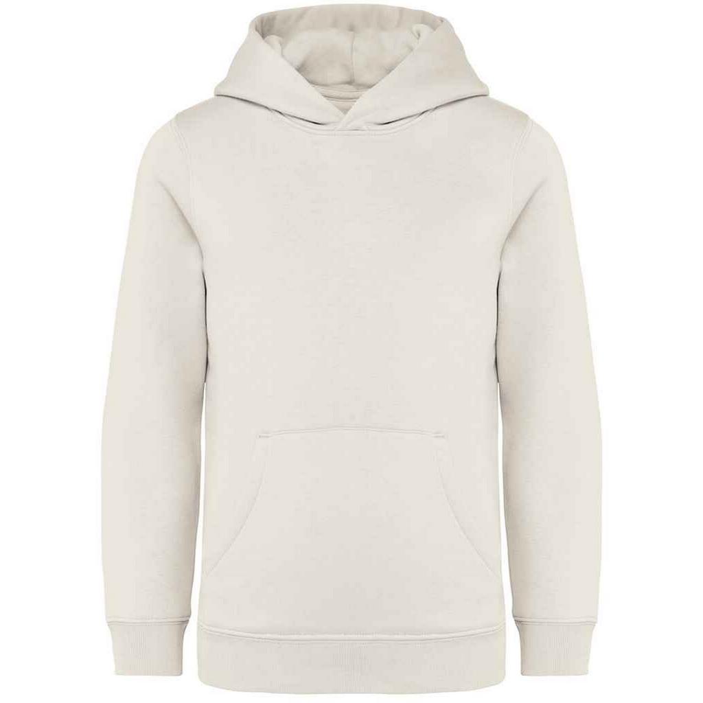 Детская/детская толстовка с капюшоном Native Spirit