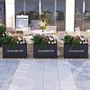 Stainless Steel Outdoor Rectangular Planter Box