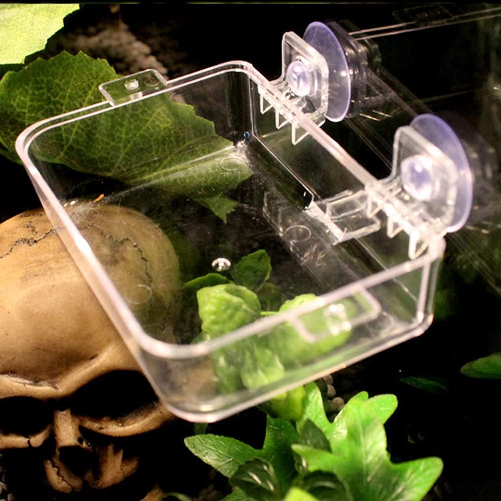 Кормушка для рептилий Миска для хамелеона 2 шт. Миска для корма против побега с присоской для хамелеона, игуаны, ящерицы, кормление рептилий едой и водой (Белый, С)